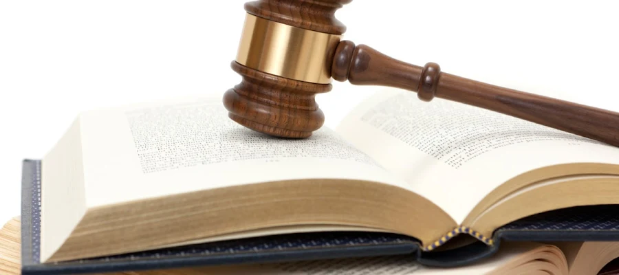 Sarah Ellis Legal Services, PLLC