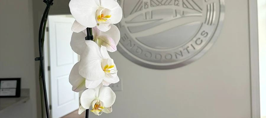 Savannah River Endodontics
