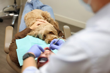 Seattle Dental Associates