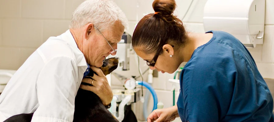 Sebring Animal Hospital