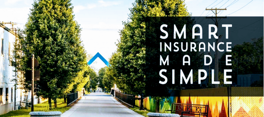 Shine Insurance Agency LLC