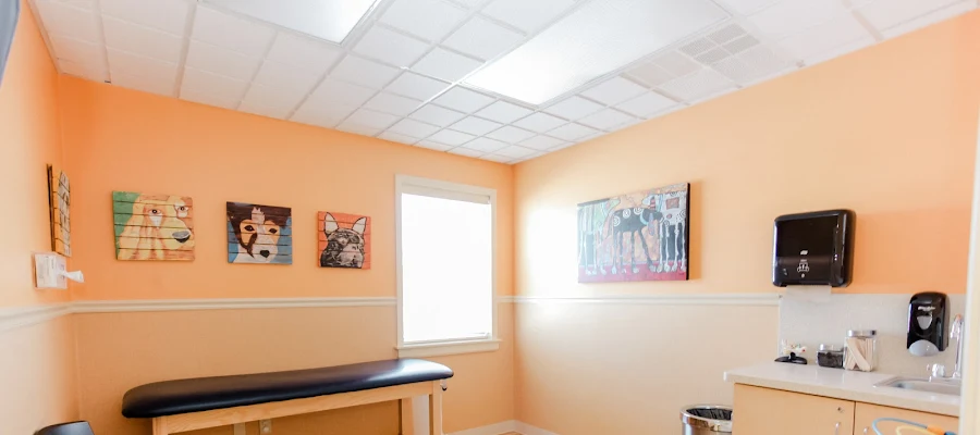SIHF Healthcare Childcare Physicians Swansea