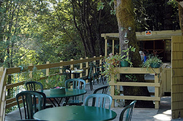 Singing Springs Resort