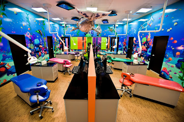 Smiling Seal Pediatric Dentistry