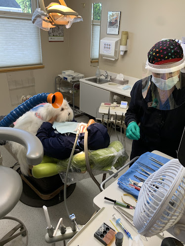Snapp Dental