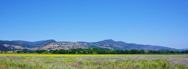 Solano Dermatology Associates Vallejo
