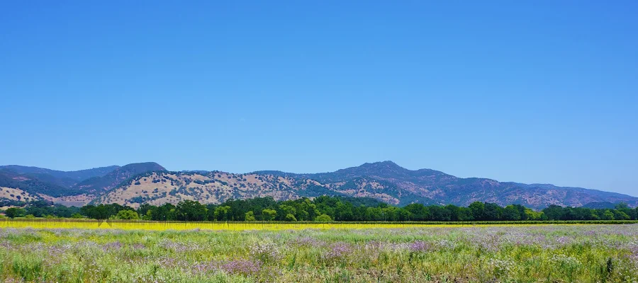 Solano Dermatology Associates Vallejo