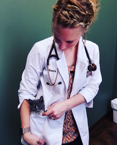 Somerset Veterinary Hospital