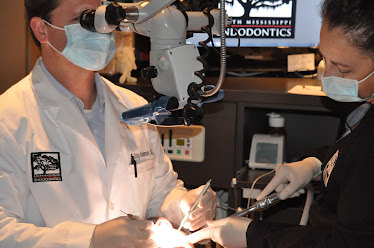 South Mississippi Endodontics