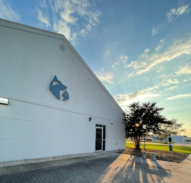 Southeast Veterinary Neurology