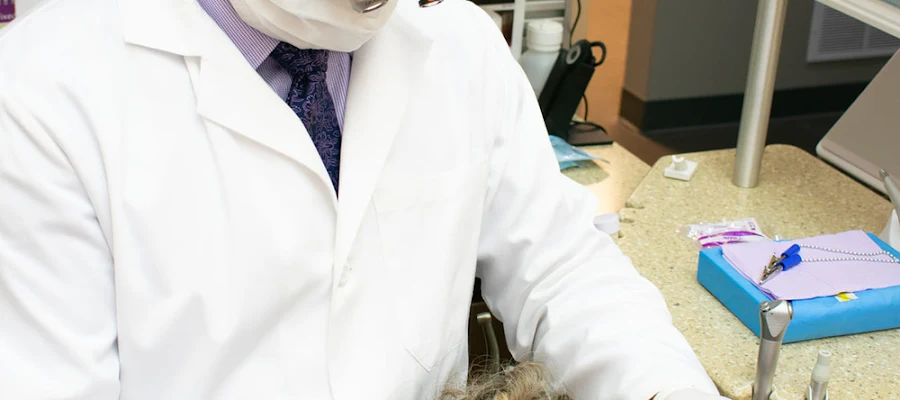 Southshore Dental