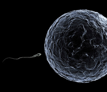 Specialists In Reproductive Medicine & Surgery, P.A., Craig R. Sweet, M.D.