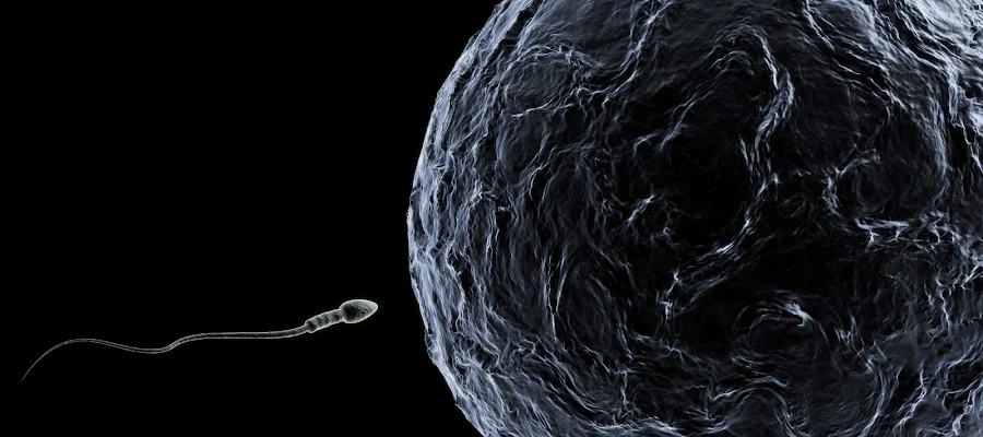 Specialists In Reproductive Medicine & Surgery, P.A., Craig R. Sweet, M.D.