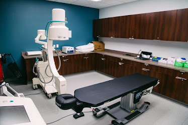 Spine & Pain Clinics of North America