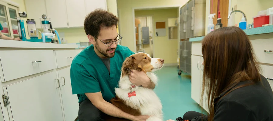 Spotsylvania Animal Hospital