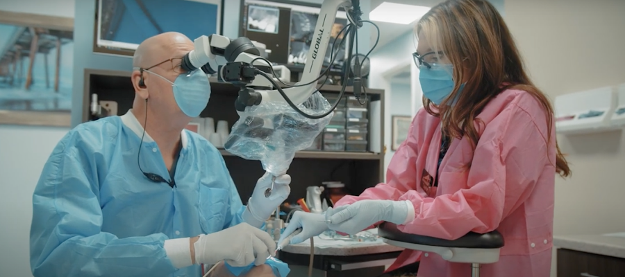 St Petersburg Endodontics