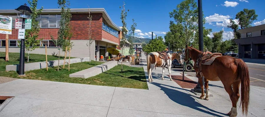 Steamboat Real Estate - The Steamboat Group