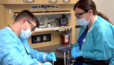 Stellar Dentistry of Reynoldsburg