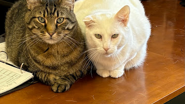 Sullivan Companion Animal Clinic