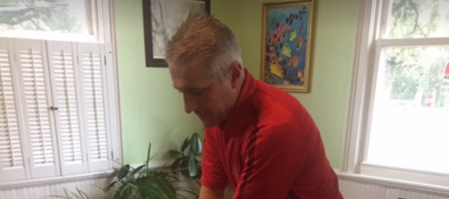 Summerville Flowertown Chiropractic