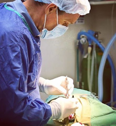 Sweet Home Veterinary Hospital