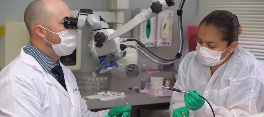 Tangredi Endodontics