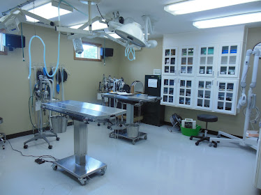 Temperance Animal Hospital