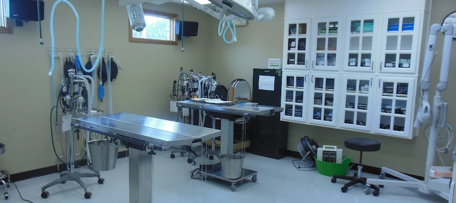 Temperance Animal Hospital