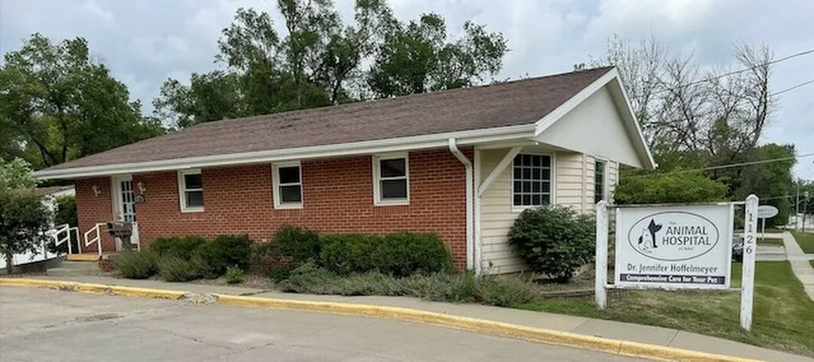 The Animal Hospital of Adel