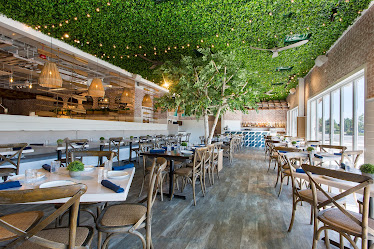 The Hampton Social