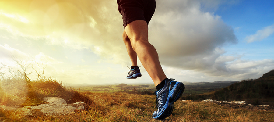 The Running Institute