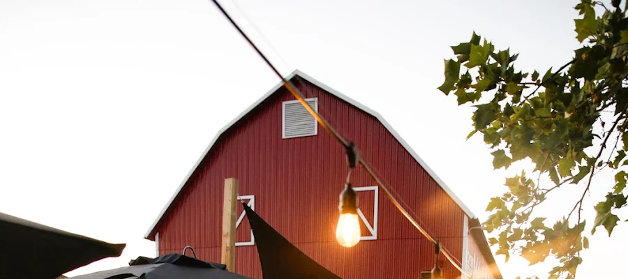 The Steer Barn