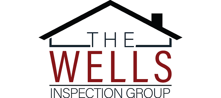 The Wells Inspection Group