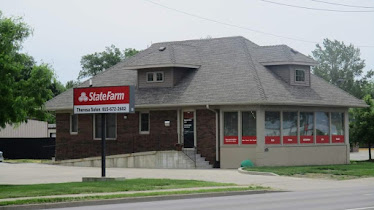 Theresa Solon - State Farm Insurance Agent