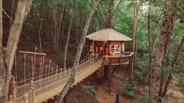 Treehouse Mountain