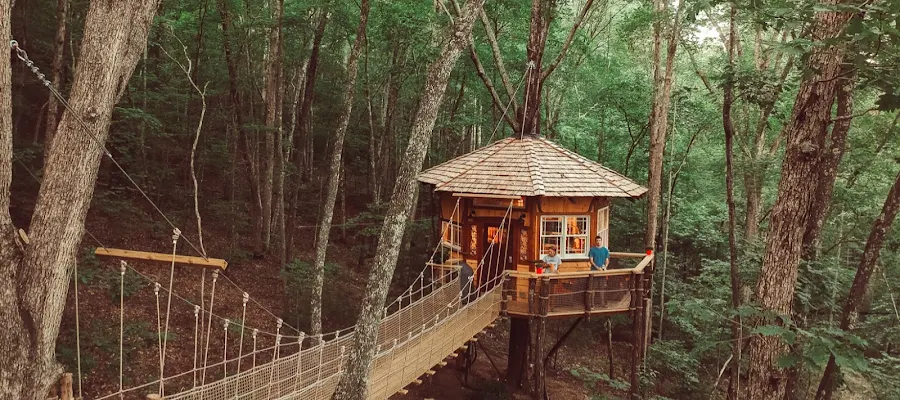 Treehouse Mountain