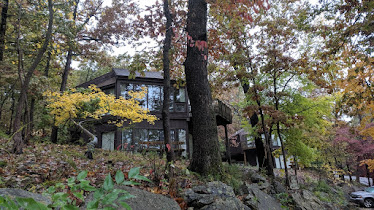 Treetop Village