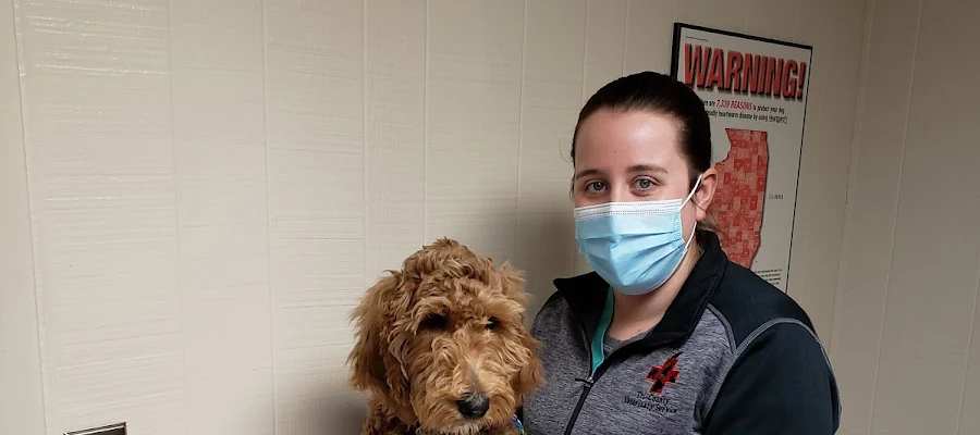 Tri-County Veterinary Services LLC