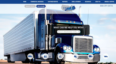 Trinity Insurance Services LLC