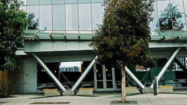 UCSF Sports Medicine Center