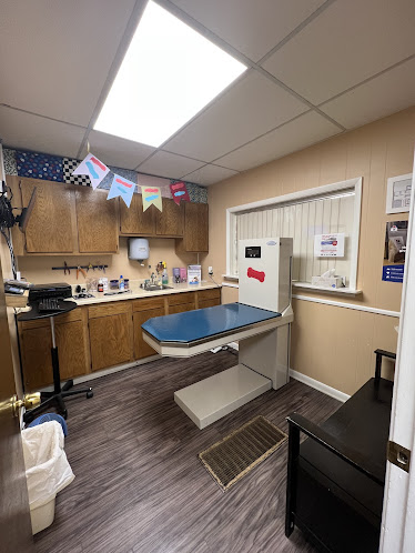 Unleashed Veterinary Care