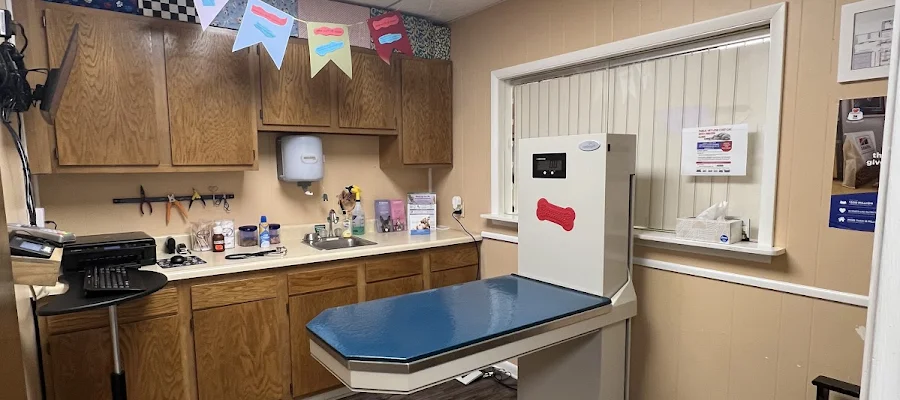 Unleashed Veterinary Care