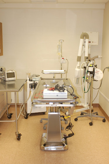 Vetcetera Pet Healthcare Centre