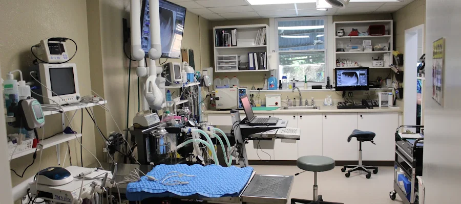 Veterinary Dental Clinic of North Carolina