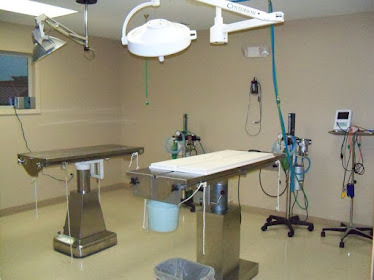 Veterinary Healthcare Clinic