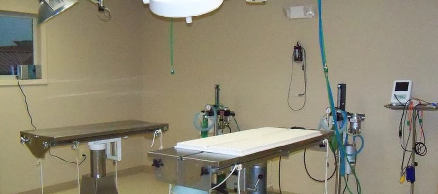 Veterinary Healthcare Clinic