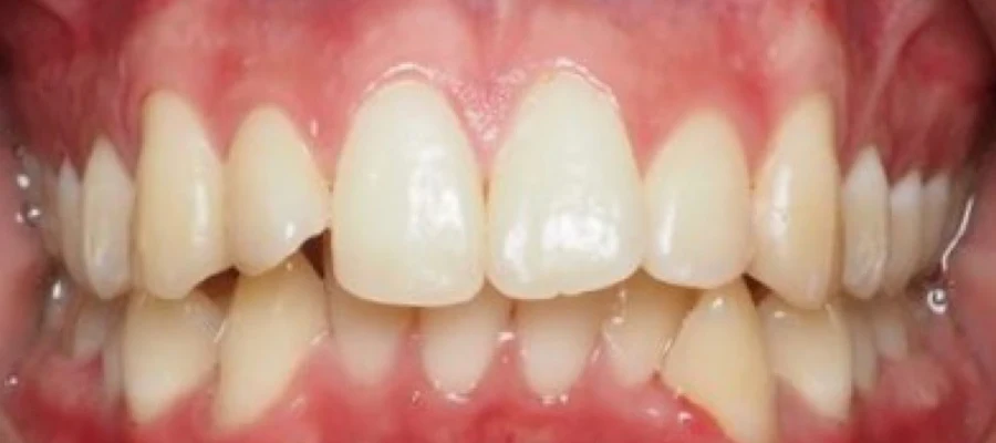 Vida Dental South