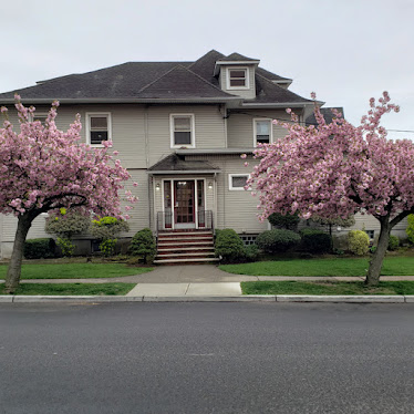 Village Dental - Ridgefield Park, NJ
