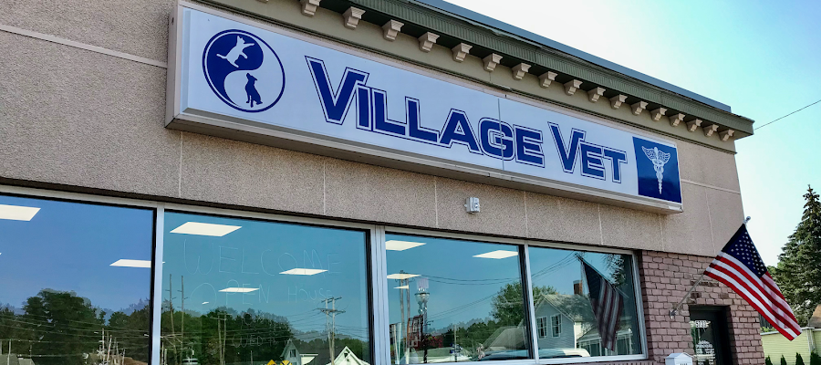 Village Vet