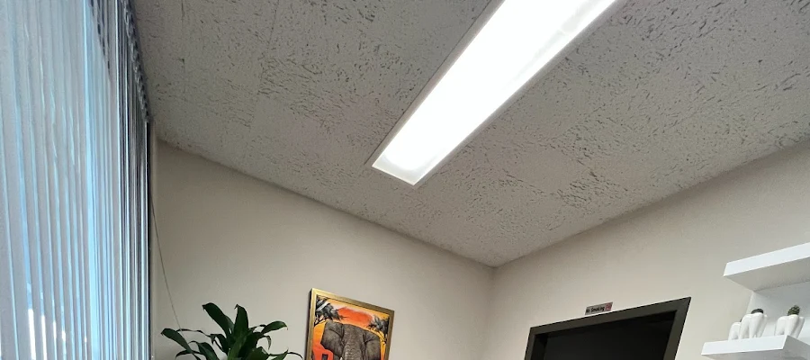 Visionary Dental Arts